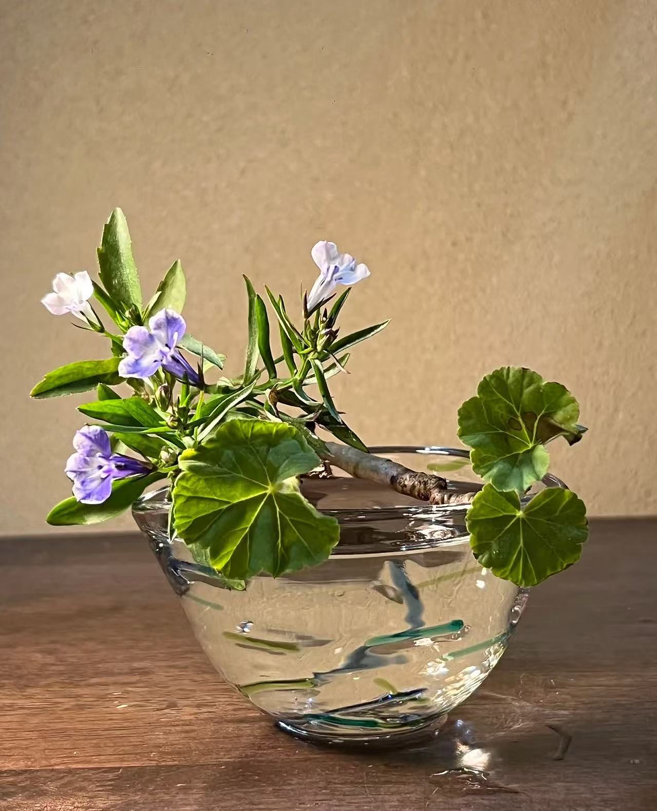 留白插花作品合集（圖ZMzg3NzU4OTY0） - 其他手工藝 - 站酷設(shè)計(jì)師小布不吃辣原創(chuàng)素材 - 站酷ZCOOL