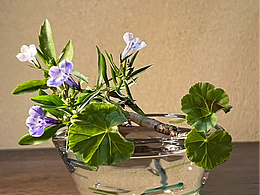 留白插花作品合集