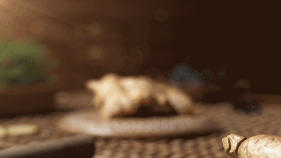 产品动画 - TOCI防脱发洗发水