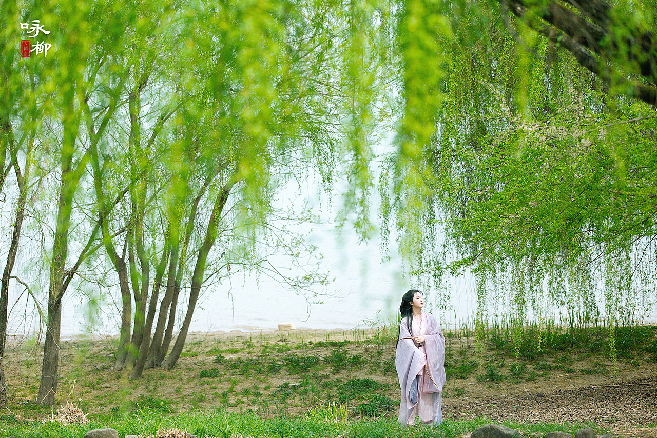 人间事·咏柳（图ZMzg3NzkzNDY0） - 人像摄影 - 站酷设计师一颗原白菜原创素材 - 站酷ZCOOL