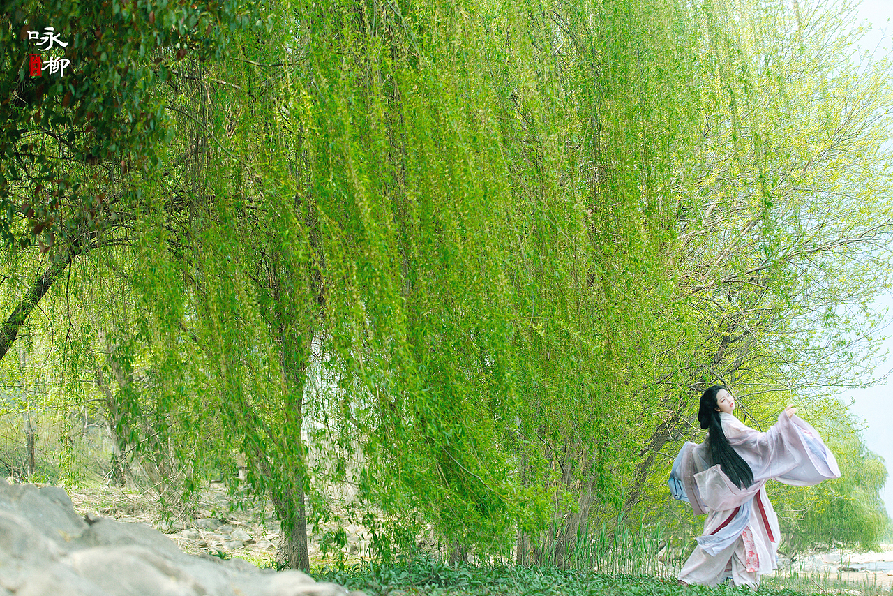 人间事·咏柳（图ZMzg3NzkzNDc2） - 人像摄影 - 站酷设计师一颗原白菜原创素材 - 站酷ZCOOL