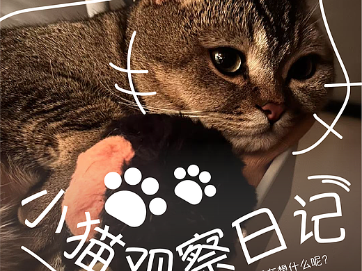 Kiki的设计日记