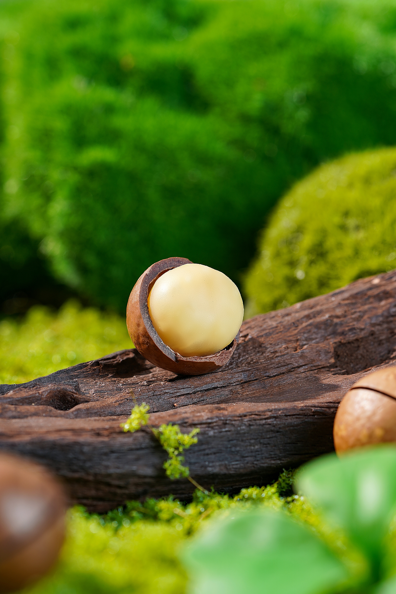 淘系夏威夷果详情