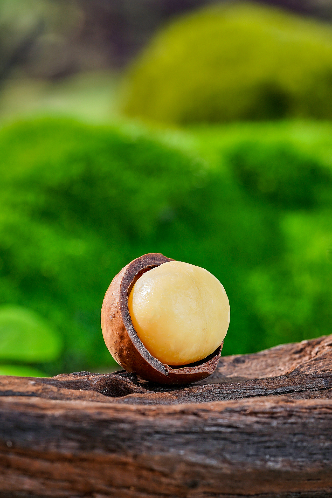 淘系夏威夷果详情