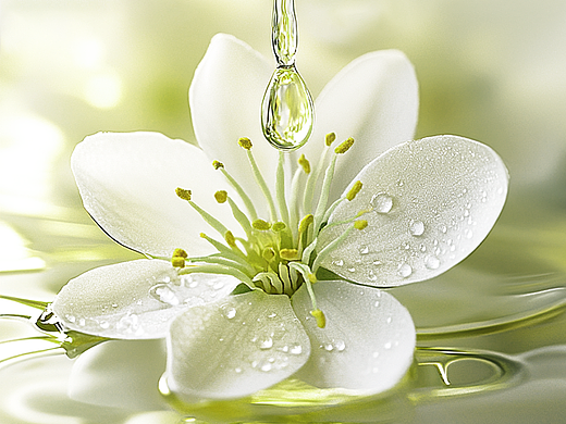 去年下半年的详情页制作