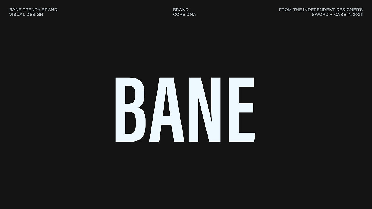 BANE Brand Visual Image Design(图ZMzg3ODMyNTA0) - 品牌 - 站酷设计师花劍Huajian原创素材 - 站酷ZCOOL