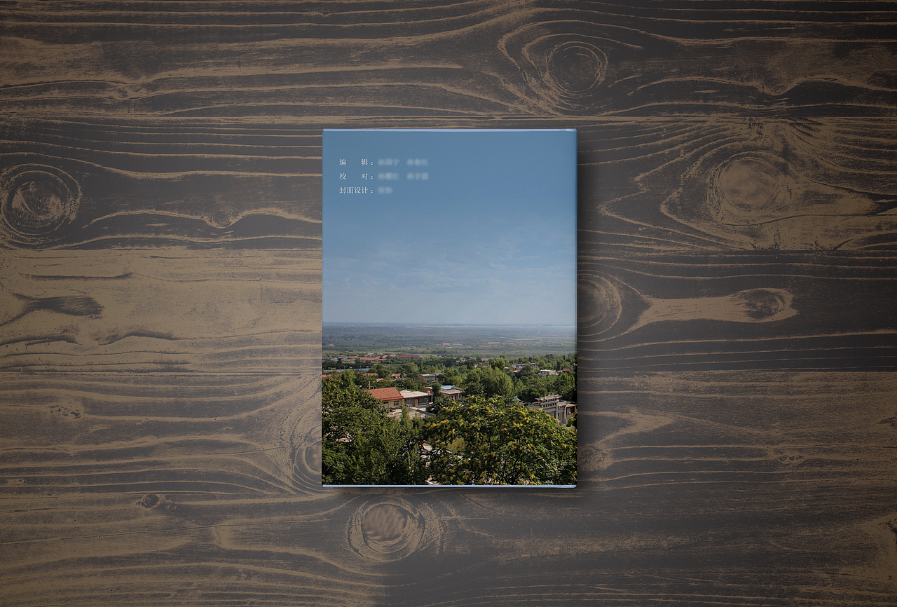 书籍封面设计（图ZMzg3ODMyMjA4） - 书籍/画册 - 站酷设计师张伟涛原创素材 - 站酷ZCOOL