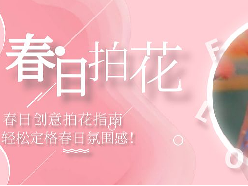 7个春日花卉创意拍法,让你的照片美出新高度!