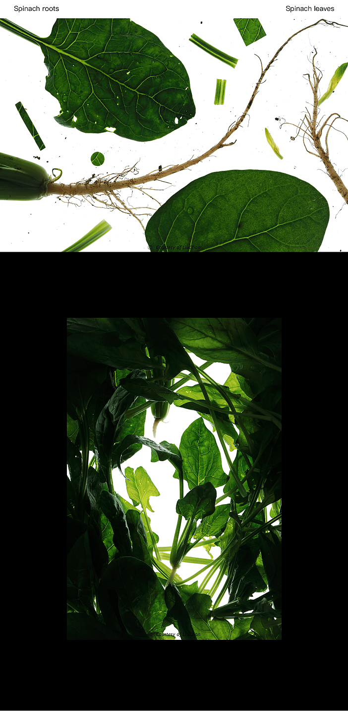 大力水手菠菜汤(图ZMzg3ODQxNDk2) - 美食摄影 - 站酷设计师阿蚕原创素材 - 站酷ZCOOL