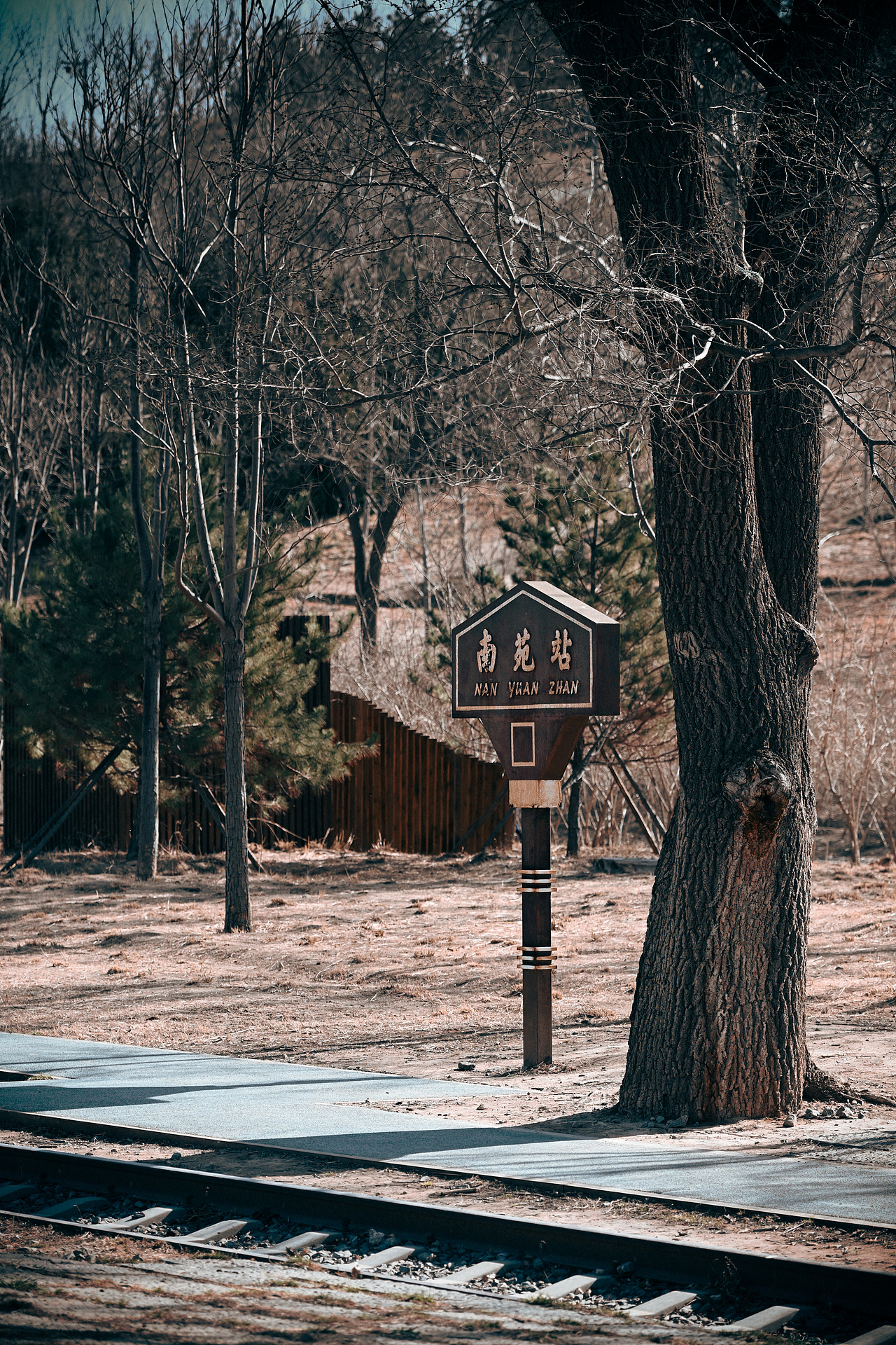 踏春（图ZMzg3ODU5NDU2） - 风光摄影 - 站酷设计师DoniQi原创素材 - 站酷ZCOOL