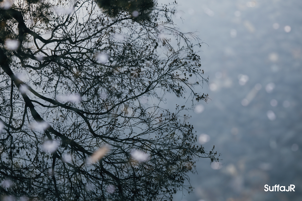 雕塑公园&外滩源（图ZMzg3ODczNTQ0） - 人文/纪实摄影 - 站酷设计师朱尼尔沙发SUFFA原创素材 - 站酷ZCOOL