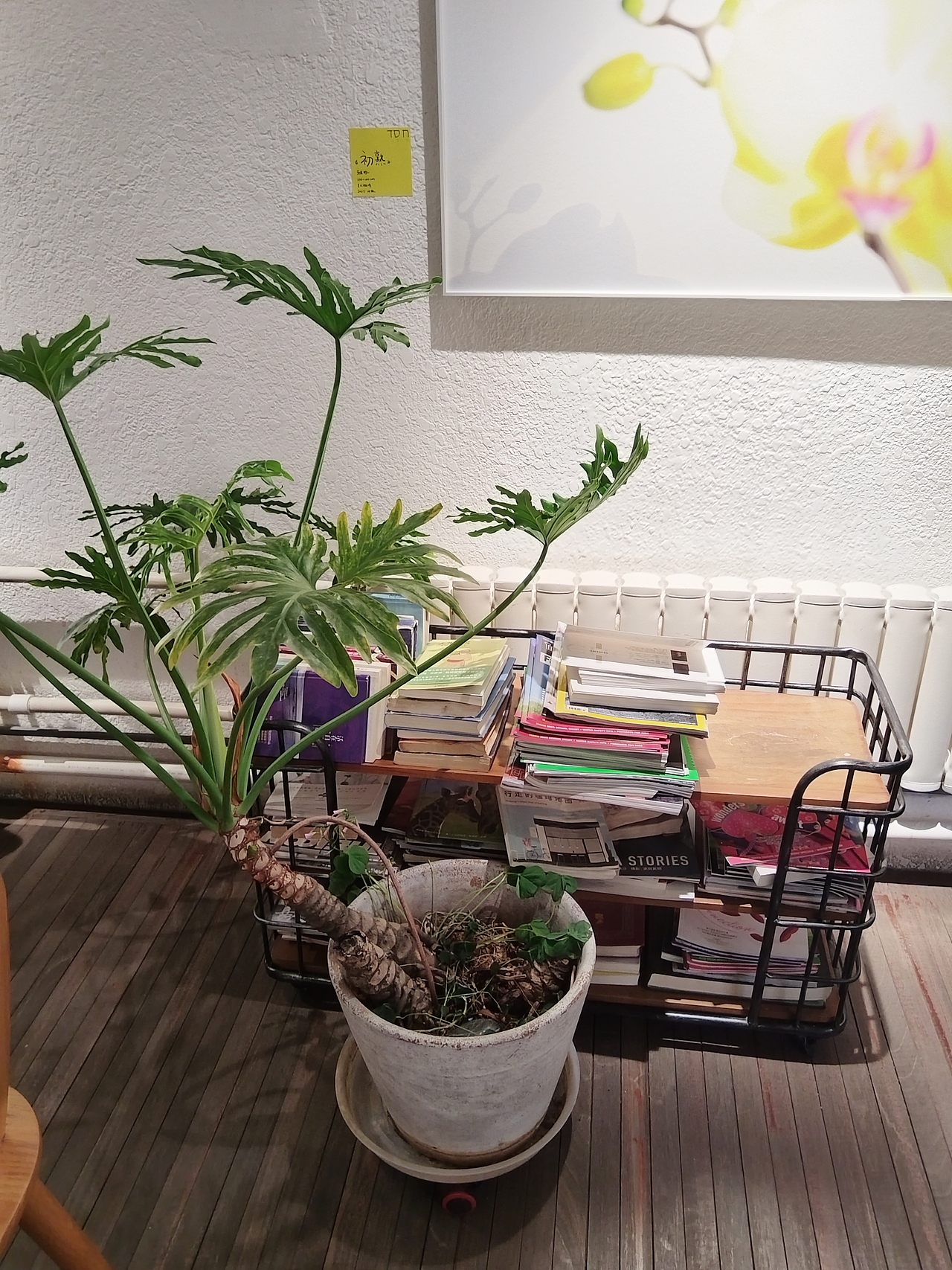 酒吧（图ZMzg3ODc1OTky） - Logo - 站酷设计师普拉斯基原创素材 - 站酷ZCOOL