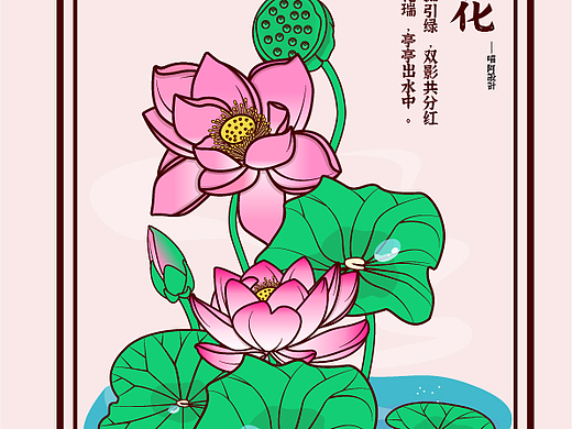 荷花插画