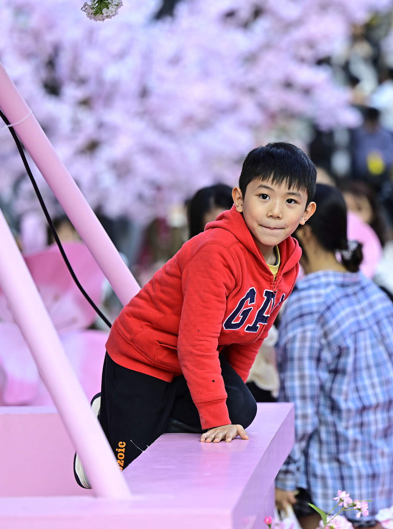 2025年天街春日樱花浪漫季（图ZMzg3ODkzNjEy） - 人像摄影 - 站酷设计师扬帆海岛原创素材 - 站酷ZCOOL