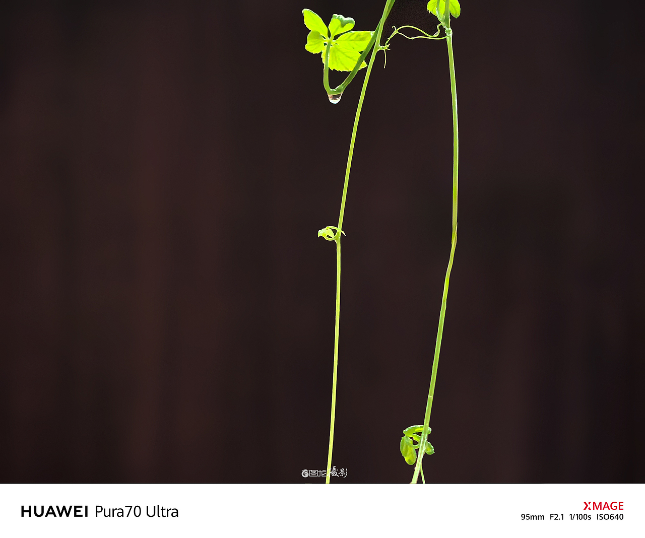 手机摄影笔记｜从心出发，用手机捕捉日常生活的小确幸