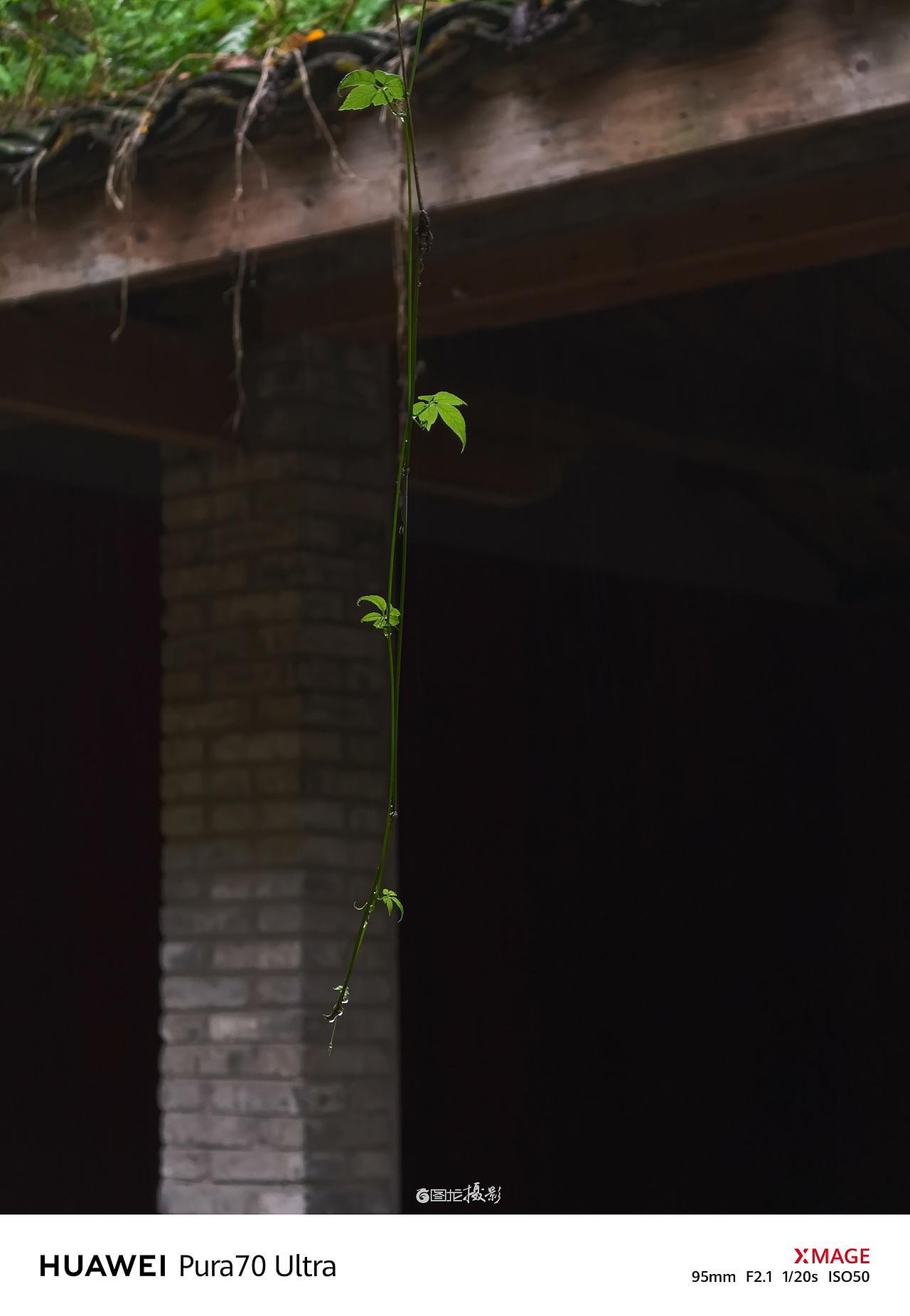 手机摄影笔记｜从心出发，用手机捕捉日常生活的小确幸