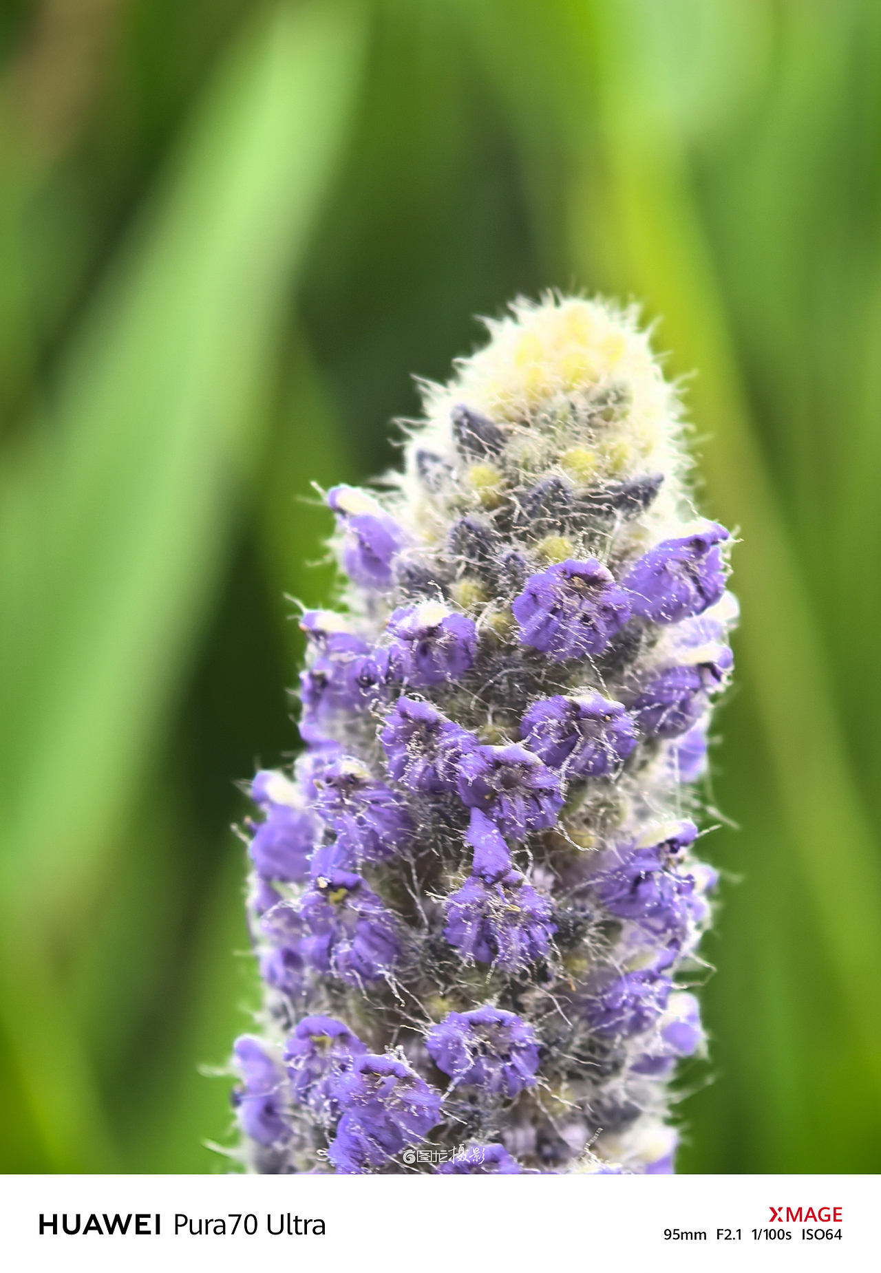 手机摄影笔记｜从心出发，用手机捕捉日常生活的小确幸
