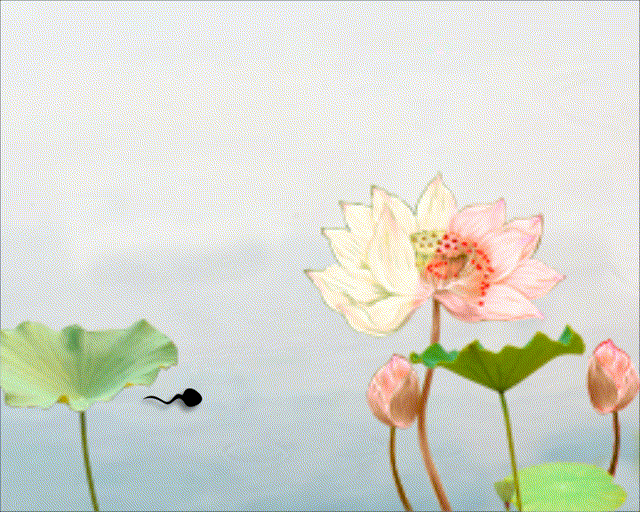 结课作业