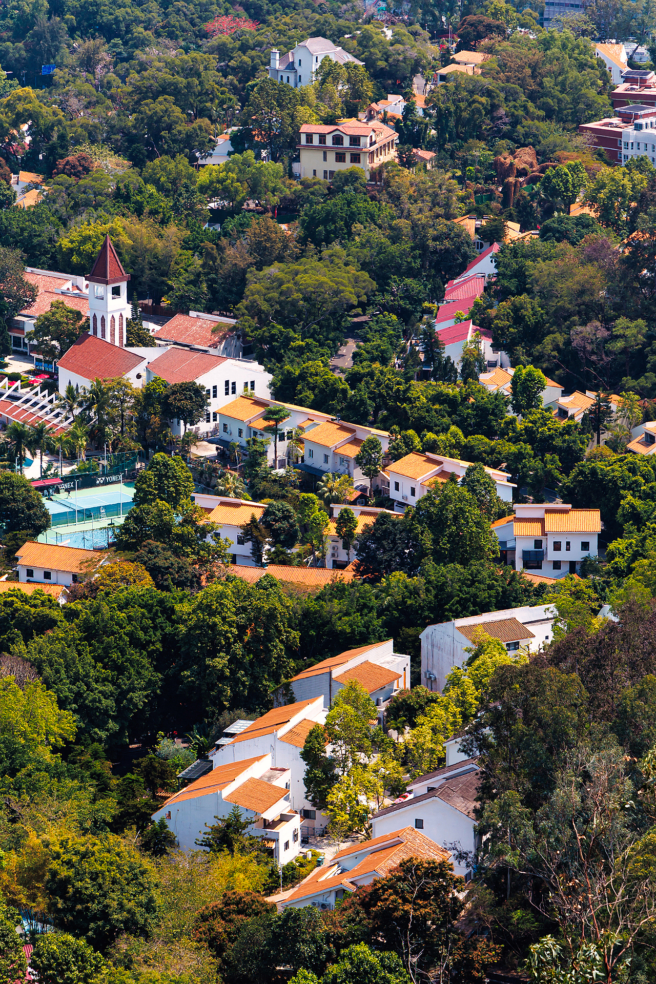 深圳南山公园 城市天际线