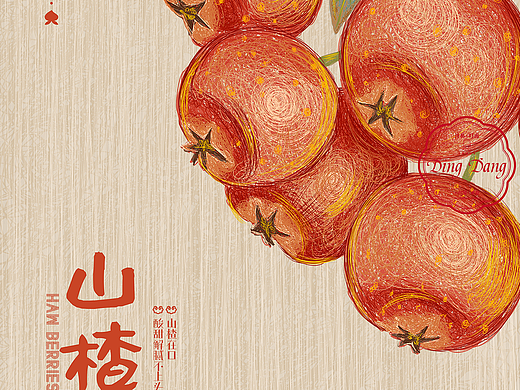 山楂线圈画