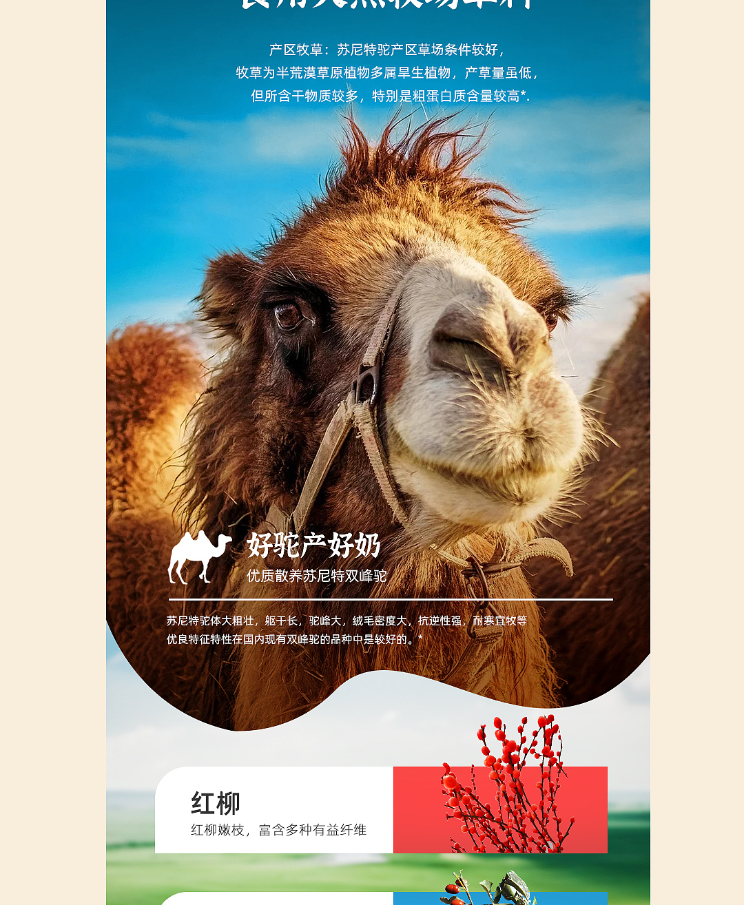 驼奶粉详情页设计建模渲染电商设计美工