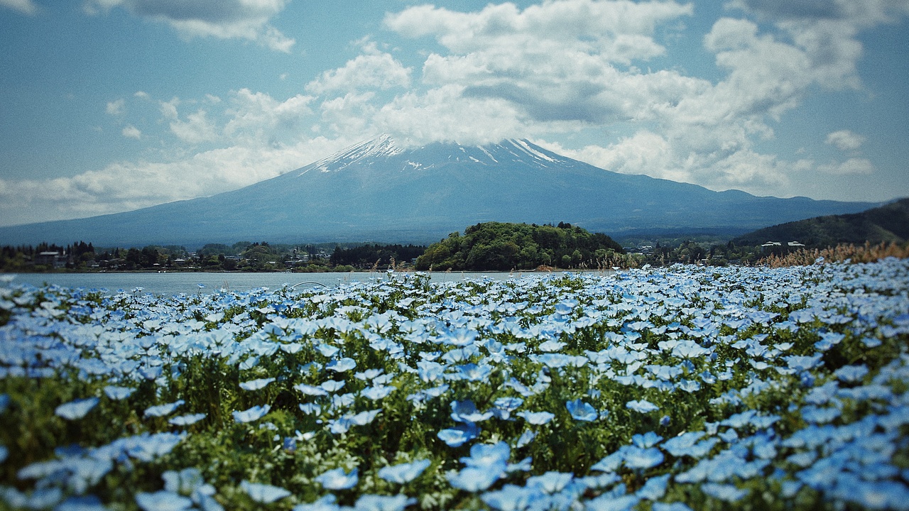 日本东京街头纪实摄影—2024年—街头篇