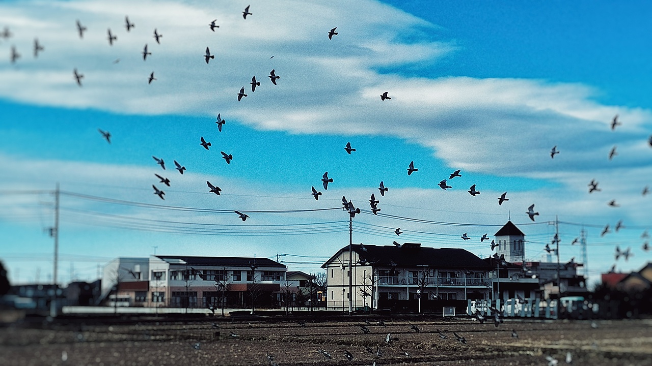 日本东京街头纪实摄影—2024年—街头篇