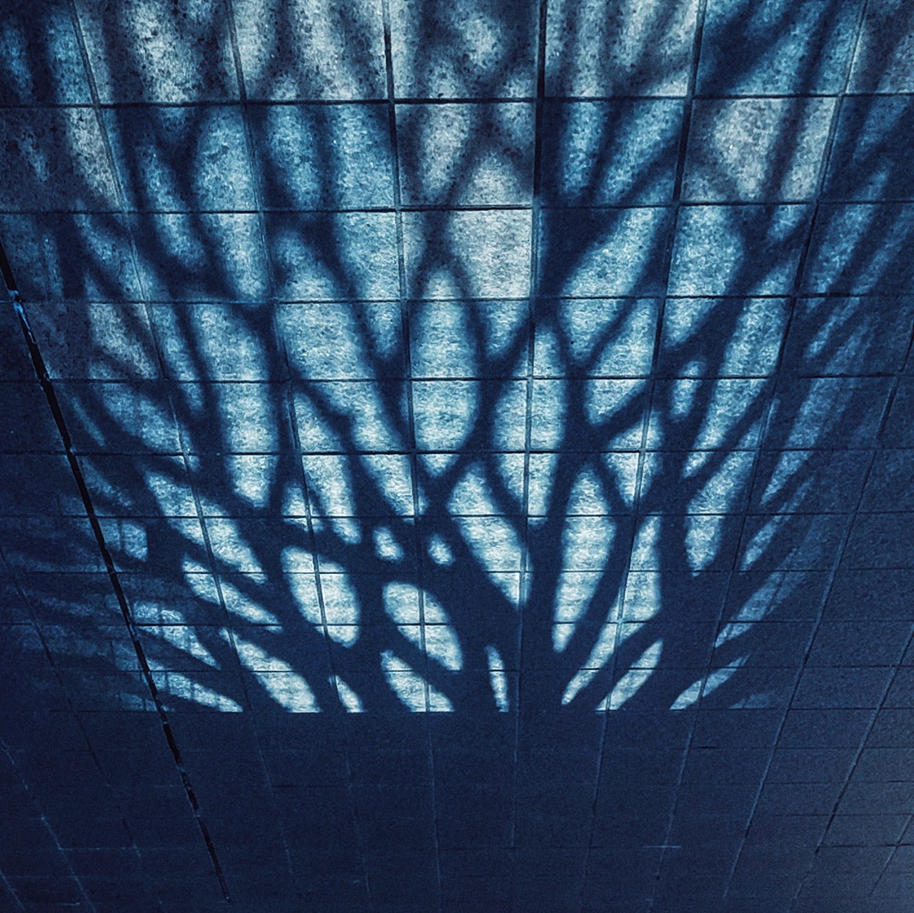 日本东京街头纪实摄影—2024年—街头篇