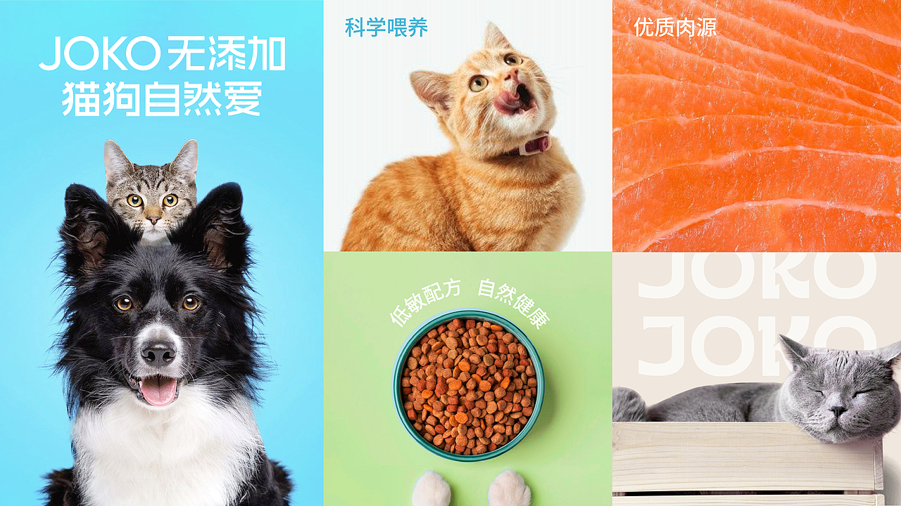 JOKO | 宠物品牌全案设计/LOGO/VI/IP
