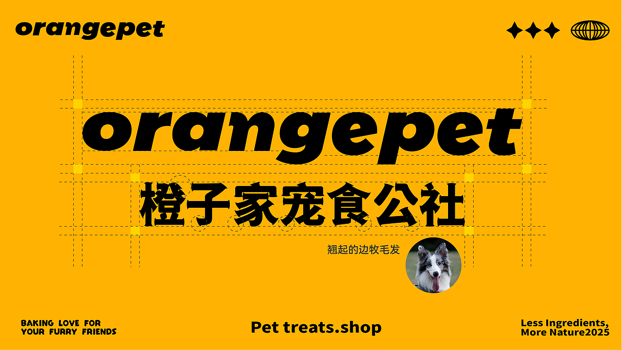 橙子家宠食公社 /orangePet宠物品牌全案