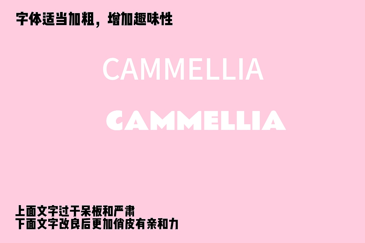 山茶油设计方案