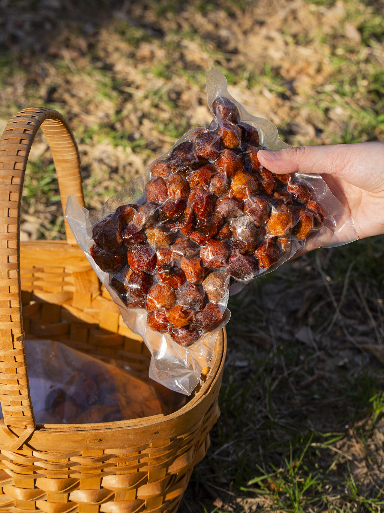 有间|亩育万物新疆吊干杏（图ZMzg3OTU4MTgw） - 产品摄影 - 站酷设计师有间图片社原创素材 - 站酷ZCOOL