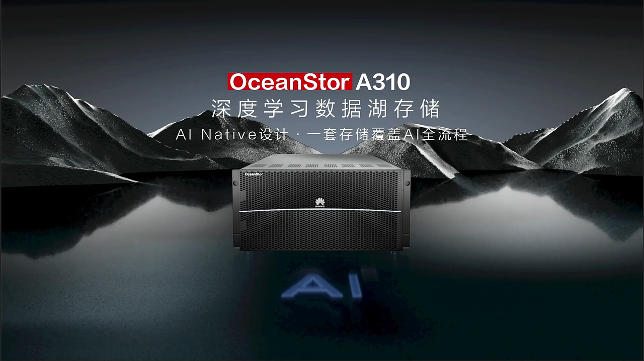 OceanStor A310