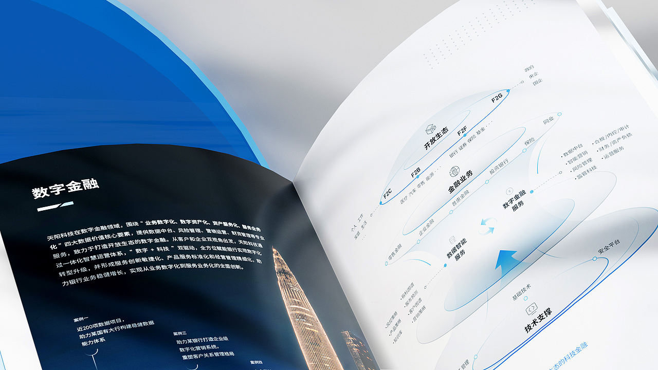 天阳科技画册设计