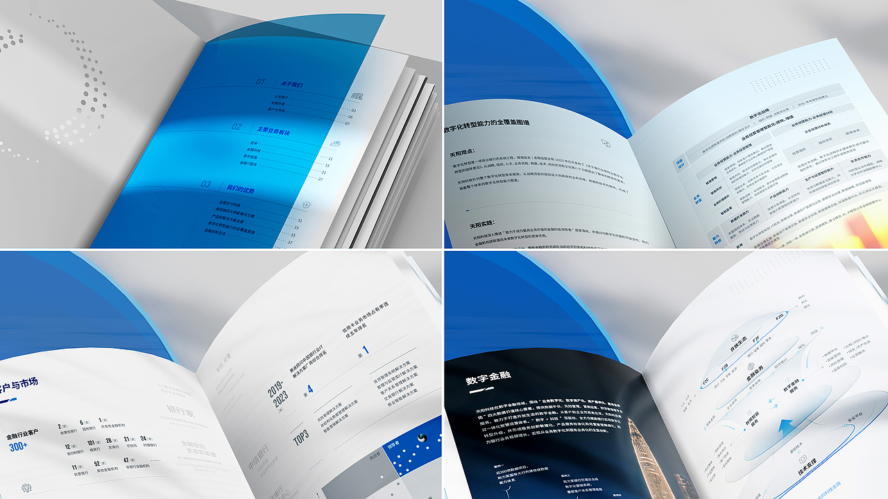 天阳科技画册设计