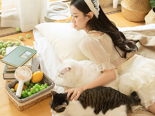 深圳约拍 和猫猫拍照 室内居家宠物写真
