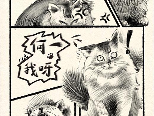 猫猫漫画日记 记录猫咪可爱瞬间 