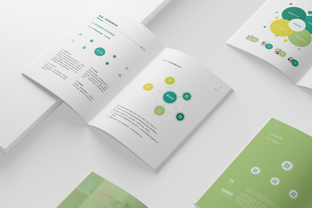 营养师项目手册（图ZMzg3OTc4MzYw） - 书籍/画册 - 站酷设计师小枝月原创素材 - 站酷ZCOOL