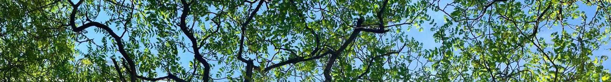 大田子子的個(gè)人主頁(yè)（封面預(yù)覽） - 主頁(yè)封面設(shè)置 - 站酷設(shè)計(jì)師大田子子原創(chuàng)素材 - 站酷ZCOOL