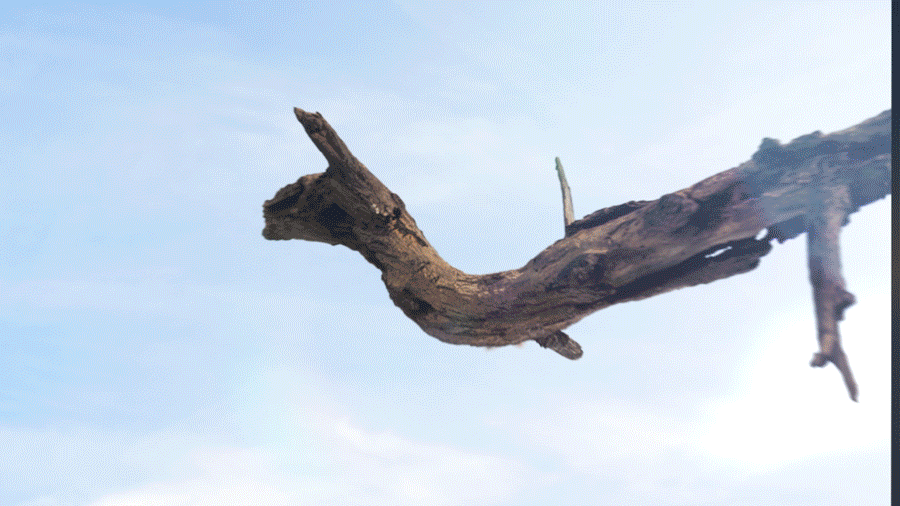 2024三维动态作品合集