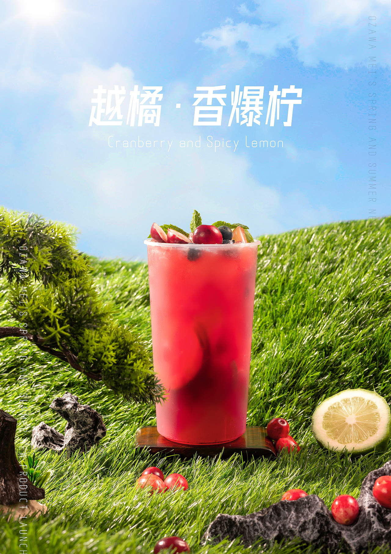 初夏微凉-春夏饮品果茶摄影拍摄