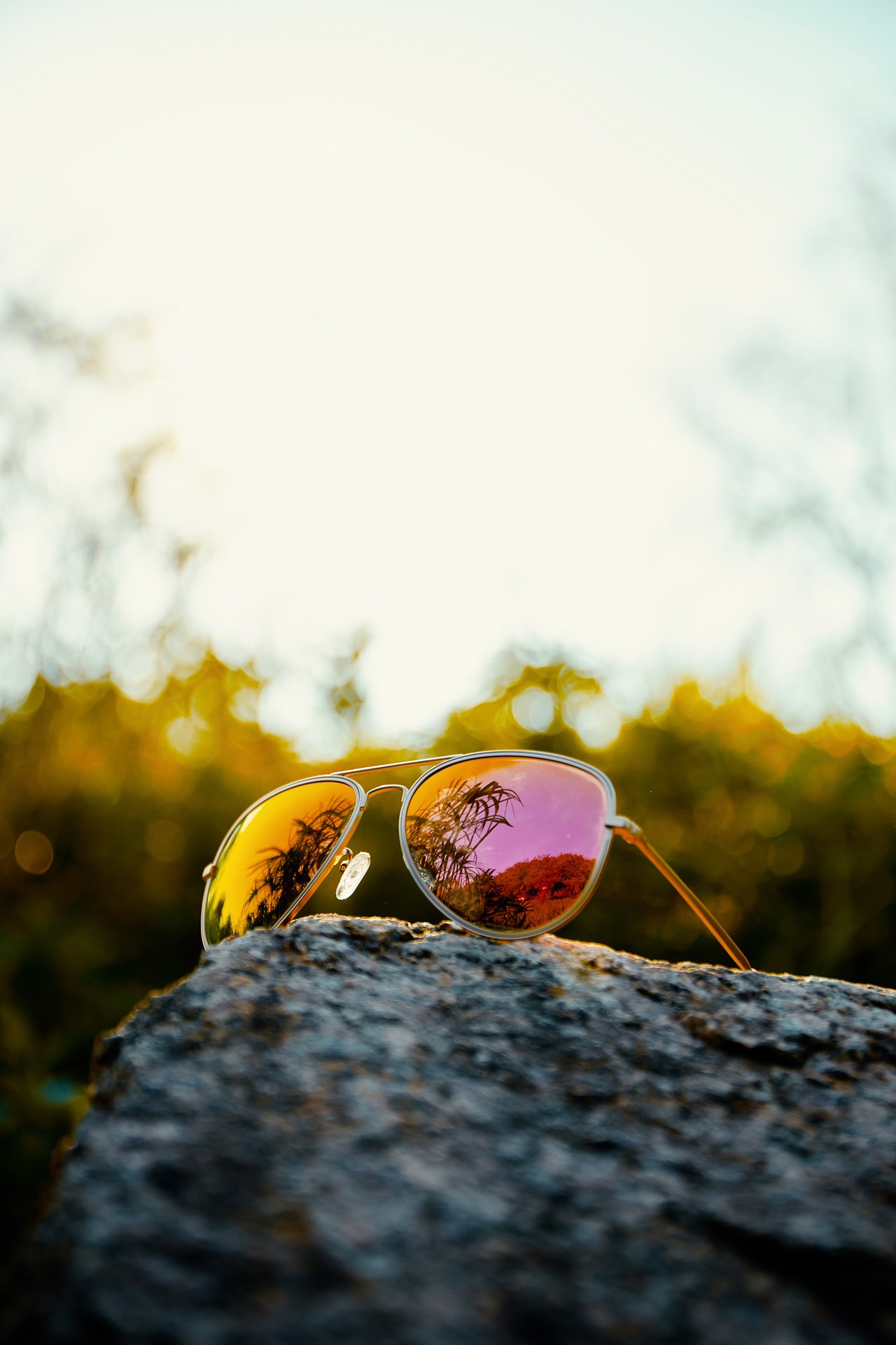 一组眼镜随拍|春日|阳光|绿意