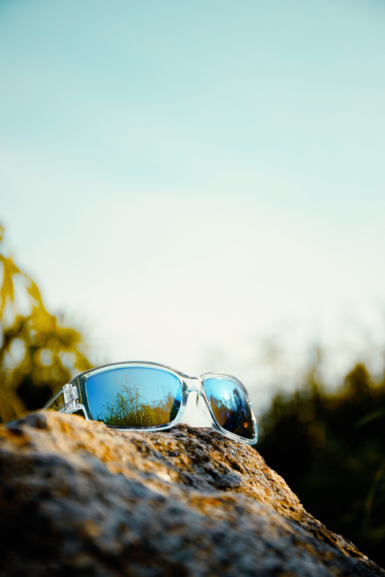 一组眼镜随拍|春日|阳光|绿意