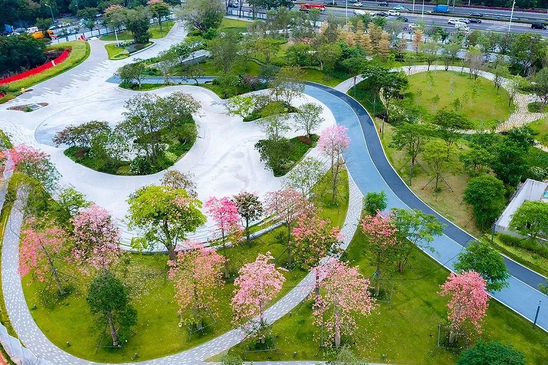 深圳中心公园 城市绿色脉搏