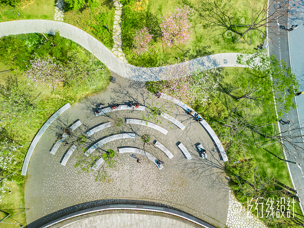 深圳中心公园 城市绿色脉搏