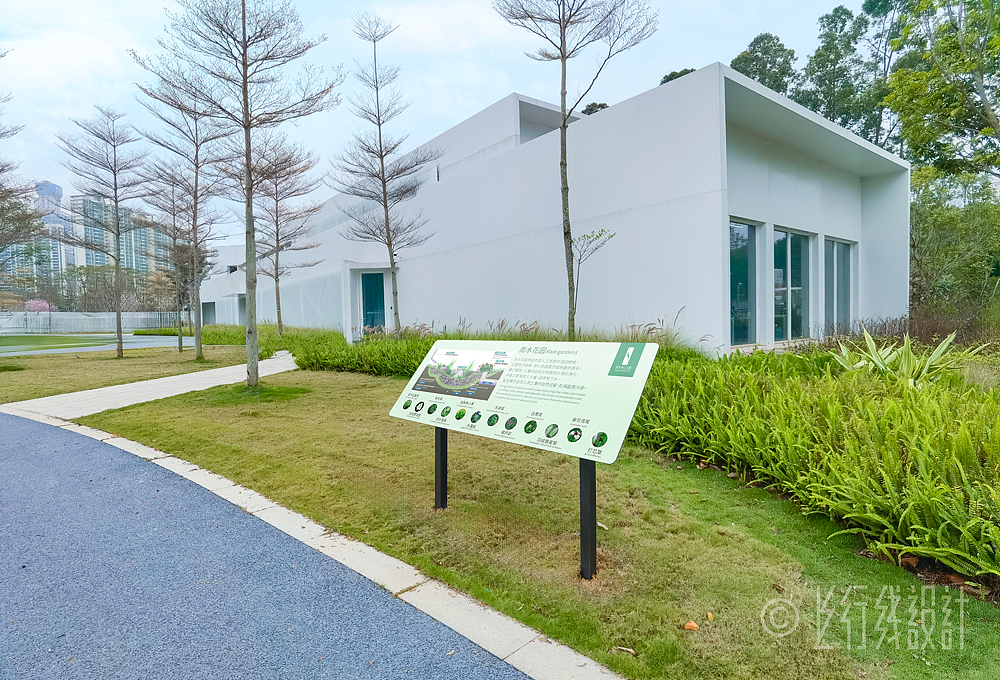 深圳中心公园 城市绿色脉搏