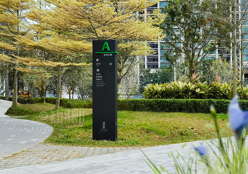 深圳中心公园 城市绿色脉搏