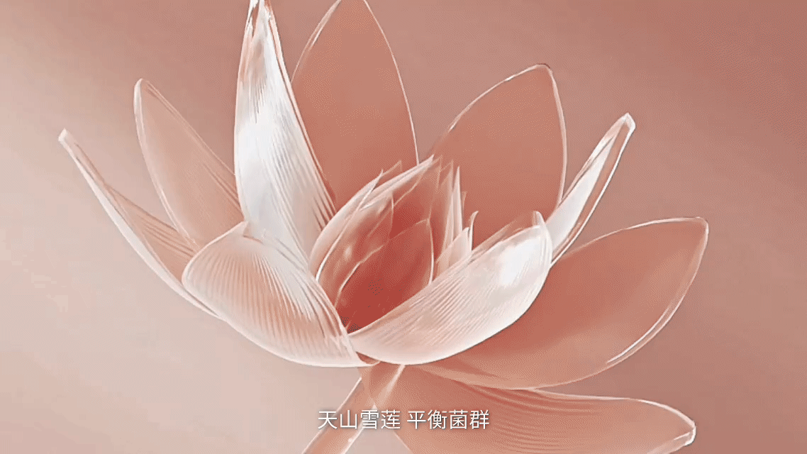 舒莱产品TVC视频|安睡裤视频|植愈裤视频✖️加号导