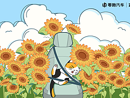 【零跑B10百變副駕空間DIY裝飾大賽】向陽而生