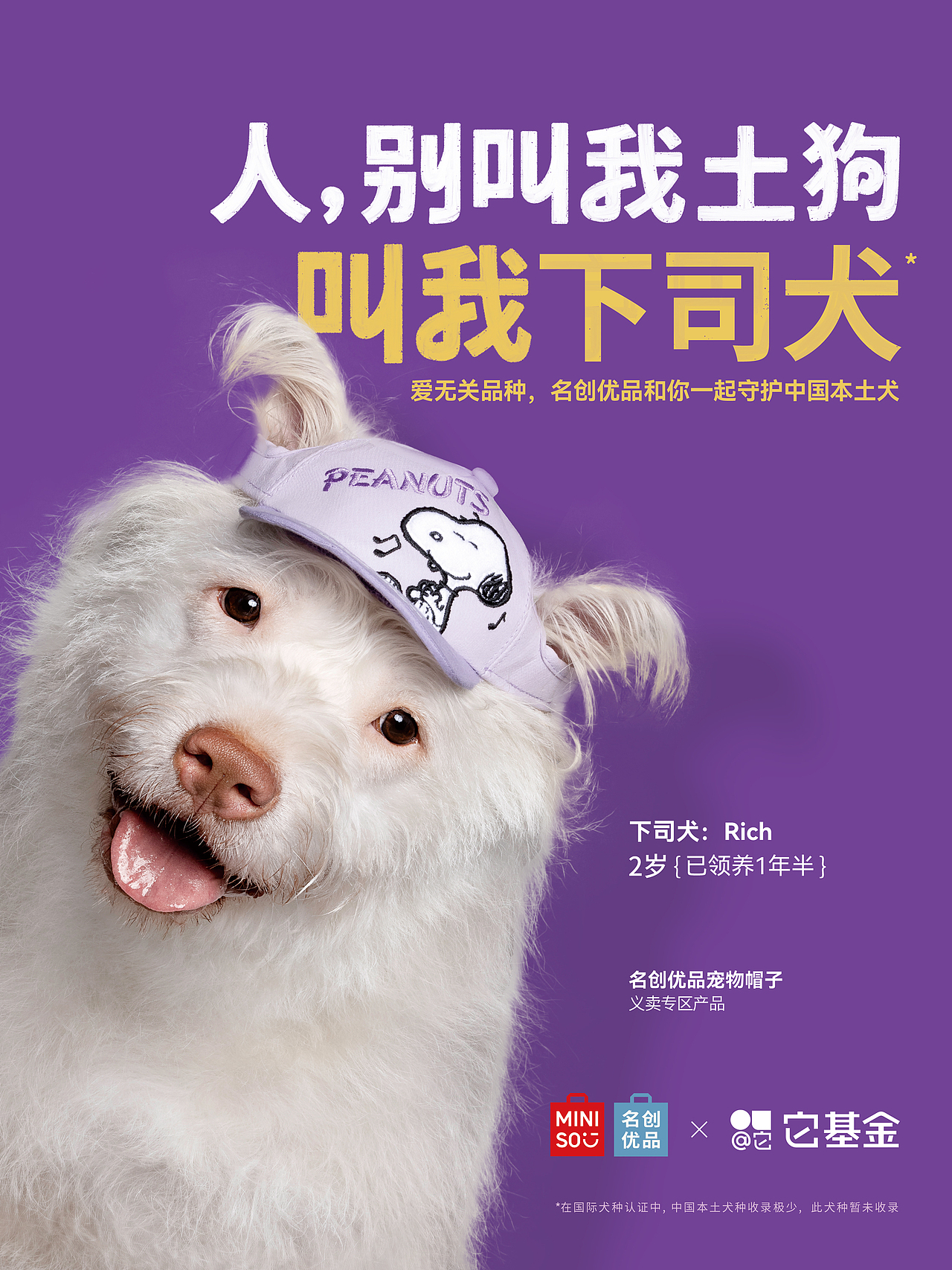 【狗狗拍摄】人，别叫我土狗（图ZMzg4MDQ3Mzg0） - 宠物摄影 - 站酷设计师Pointphoto原创素材 - 站酷ZCOOL